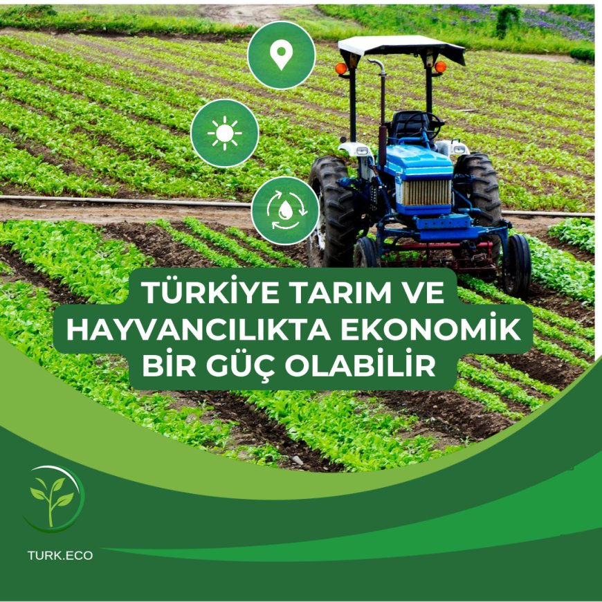 Türkiye'nin Tarım ve Hayvancılık ile Ekonomik Bir Güç Olma Potansiyeli Var.
