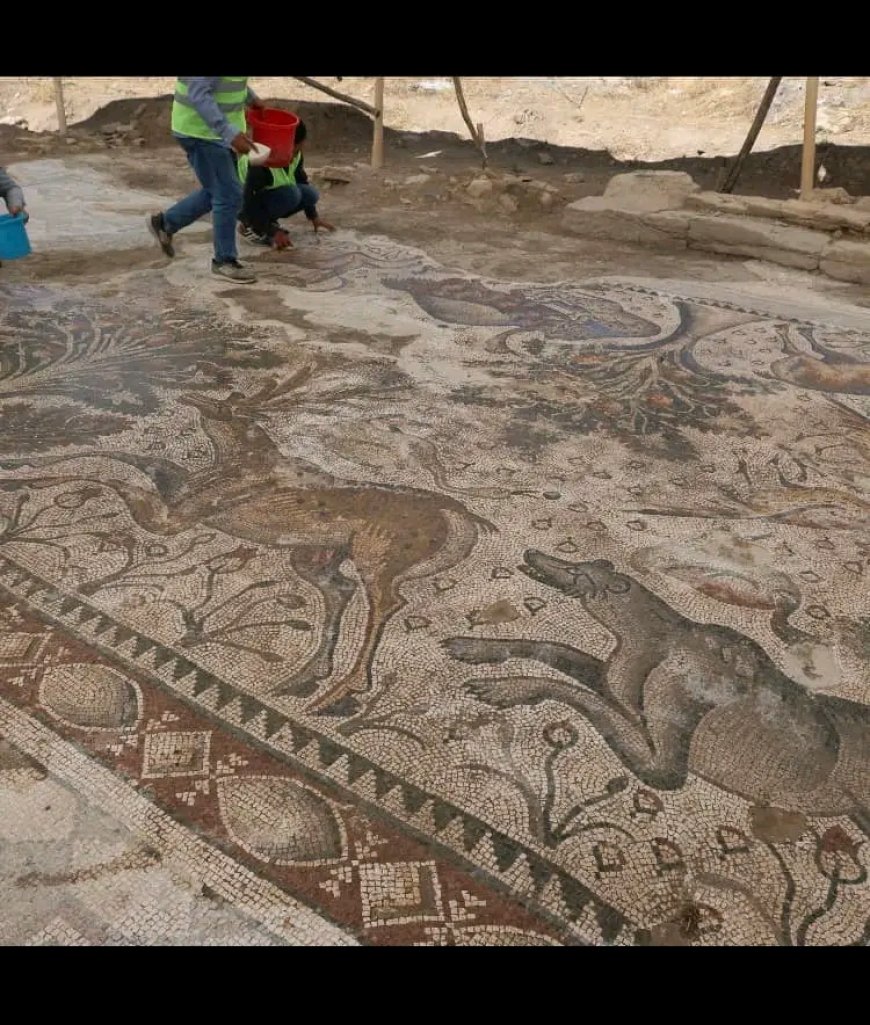 Elazığ'da Tarihi Bir Keşif: 84 Metrekarelik Mozaik
