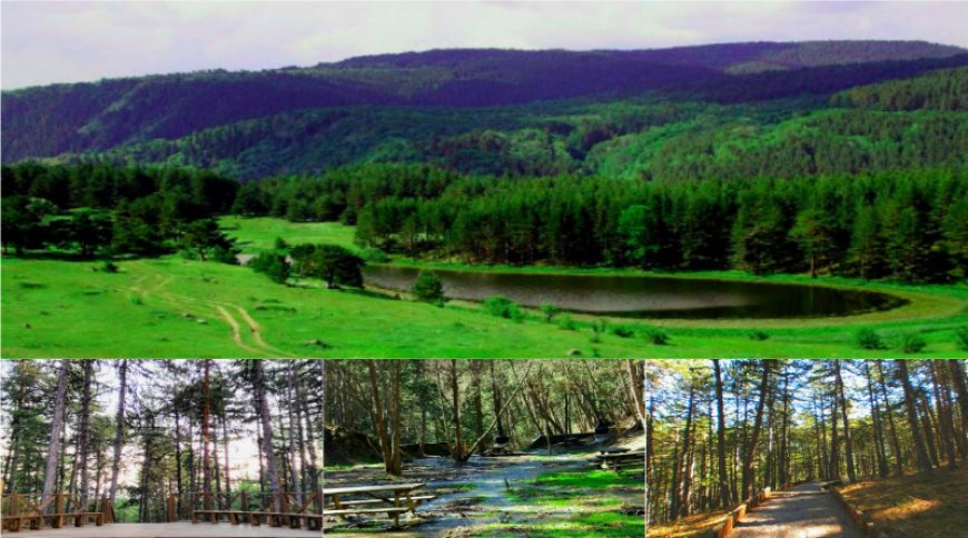 Soğuksu Milli Parkı: Orman Yürüyüşleri ve Termal Kaynaklar