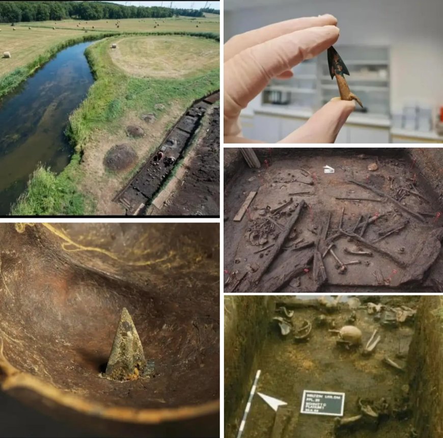 Tollense Vadisi: 3.250 Yıllık Bir Savaşın İzleri