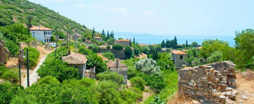 Büyükşehir Karmaşası ve Doğaya Dönüş