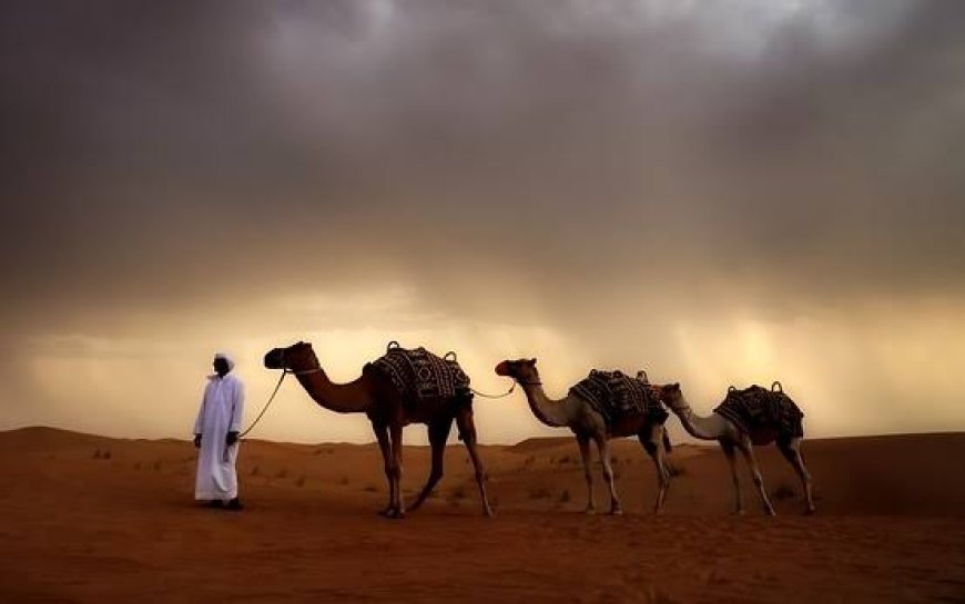 Türklerin Yazılı Tarihi Üzerine Tartışmalar