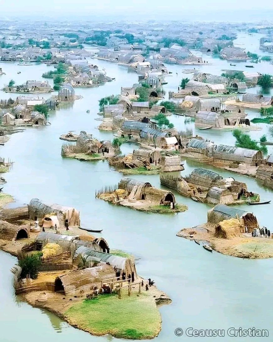 Irak'ın Yüzen Evleri: Mezopotamya Venedik'i