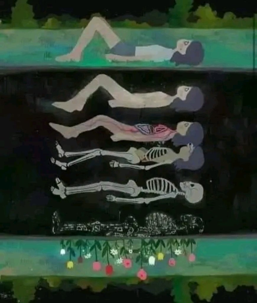 "İnsanın Kozmik Bağlantısı: Doğadan Gelen ve Doğaya Dönüşen Varlığımız"