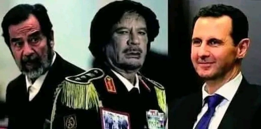 BOP Projesi işliyor mu ?