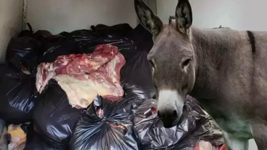 Vatandaşa en çok at ve eşek eti yediren 5 şehir paylaşıldı!