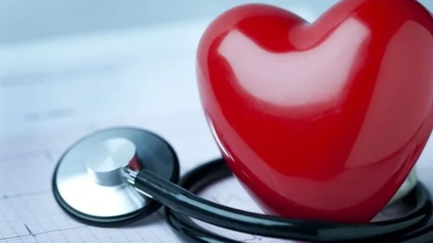 Bilim insanları açıkladı: Kalp sağlığını koruyan en etkili besin!