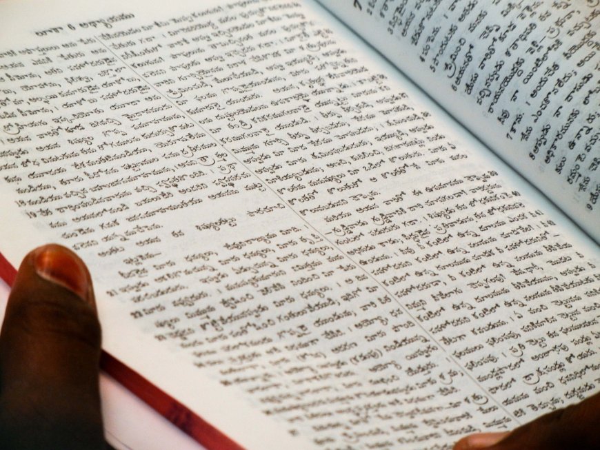 Dillerin Ölümü – Rebecca Roache