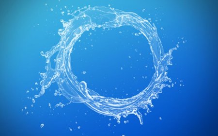 Karadeniz'de insanları gülme krizlerine sokan gazın sırrı sonunda çözüldü