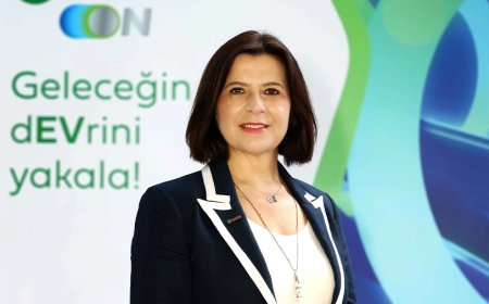 Elektrikli Araçlara Dair Kritik Veriler Açıklandı!