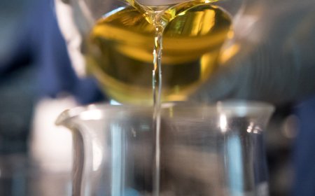 Shell, 18.kez küresel madeni yağ pazarının lideri oldu