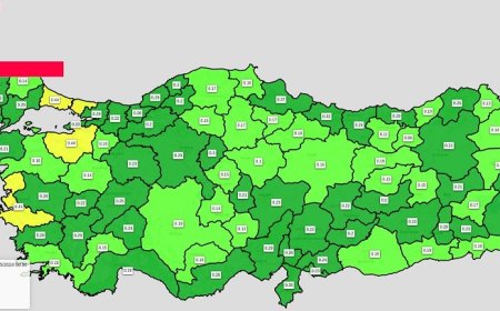 TRAFİK YOĞUNLUĞU ANALİZ PLATFORMU